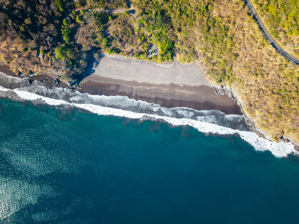 Toma aérea detallada del frente de playa y vegetación costera